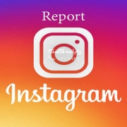 instagram-report-rayaneh komak