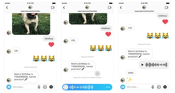 instagram-direct-audio-messages-rayaneh-komak