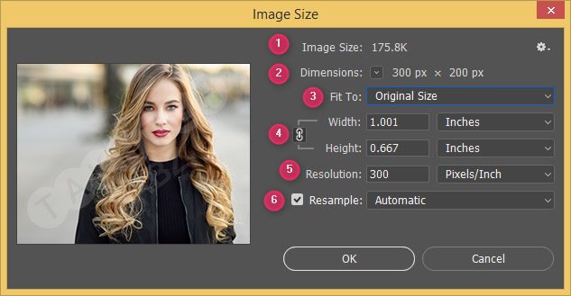 چگونه سایز تصویر را در فتوشاپ تغییر دهیم؟|رایانه_کمک_آنلاین